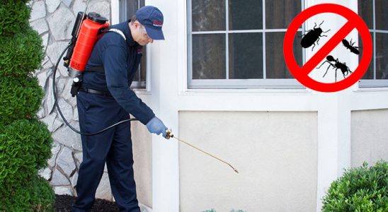 Gazipaşa Dezenfeksiyon böcek ilaçlama ve haşere kontrolü — ilaclama-tr.com